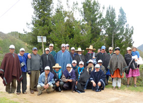 reforestation-cepicafe