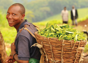 kenya