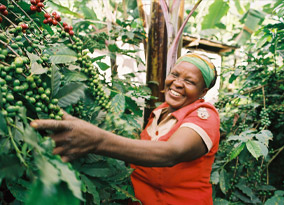 tanzania