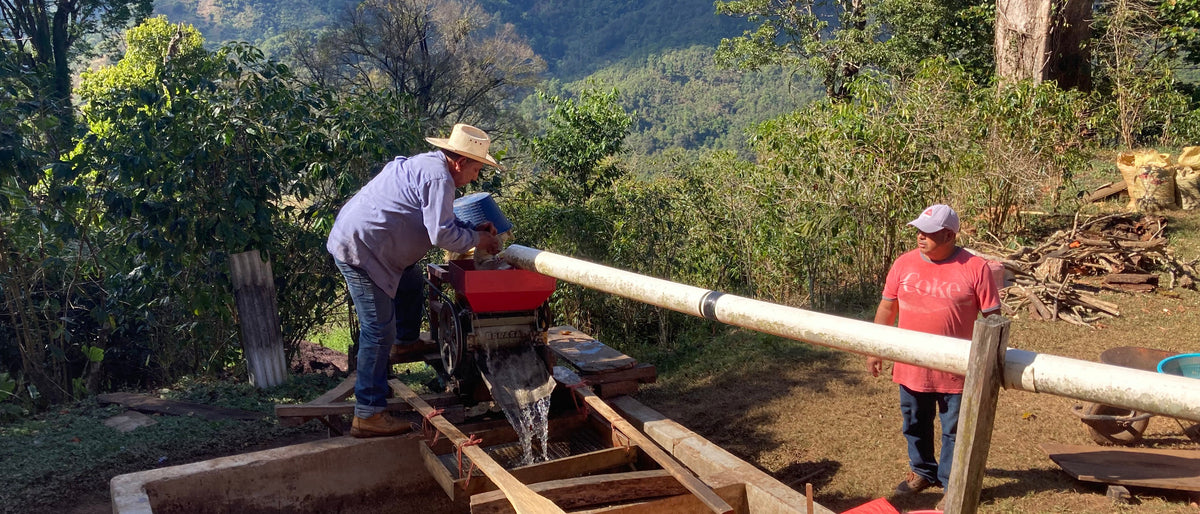 Campesinos Ecológicos de la Sierra Madre de Chiapas S.C. (CESMACH)