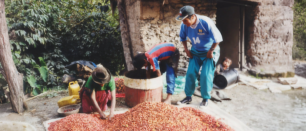 Central de Cooperativas Agrarias Cafetaleras (CECOVASA)