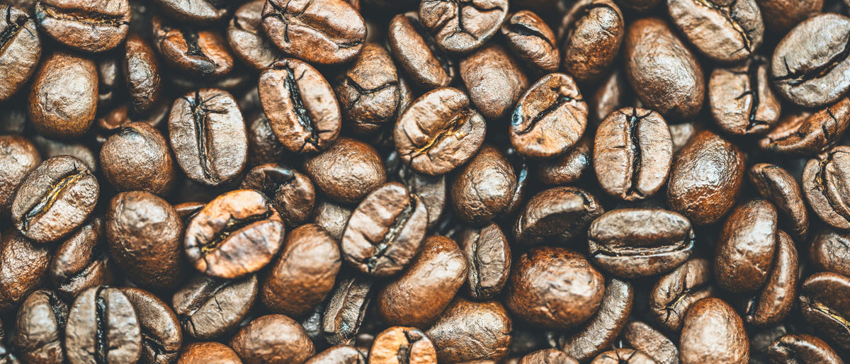 Is Coffee Good For You?