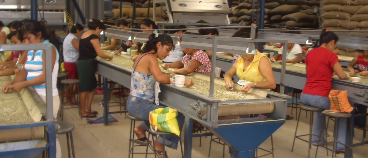 Cooperativa Agraria Cafetalera Bagua Grande (BAGUA GRANDE)