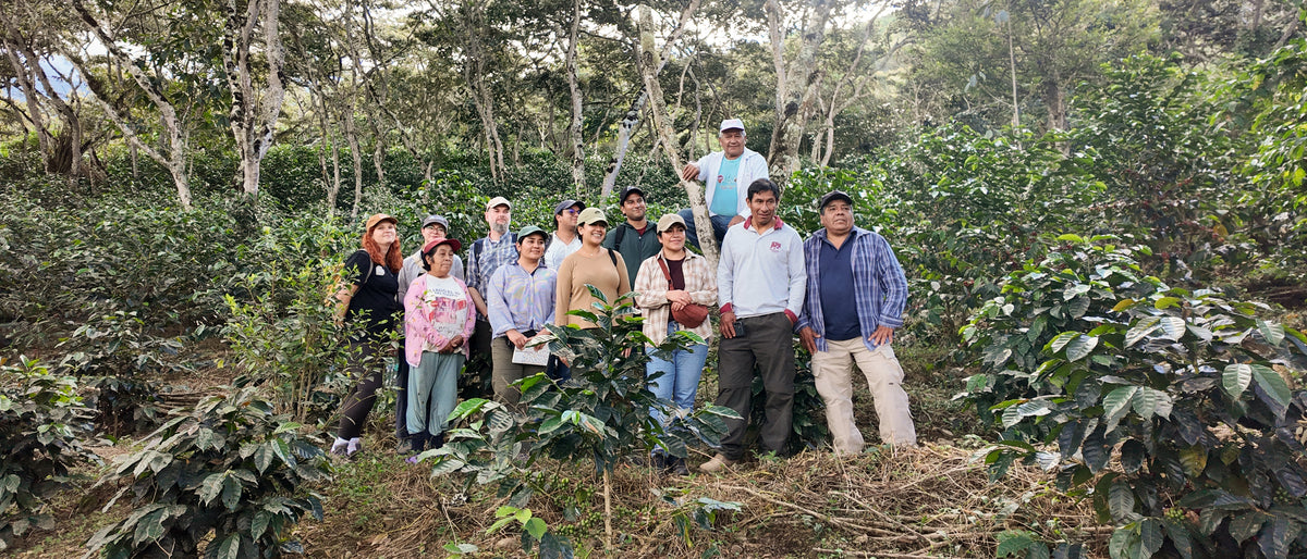 Cooperativa Agraria Cafetalera Huadquiña Ltda.