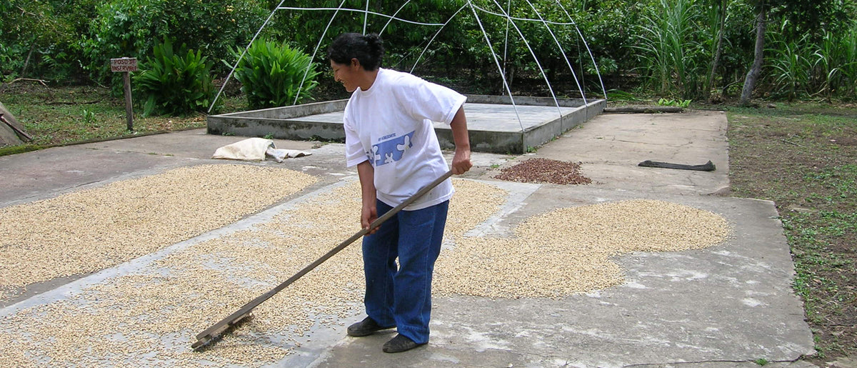 Cooperativa Agraria Cafetalera Pangoa Ltda (PANGOA)