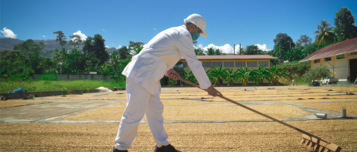 Cooperativa Agraria Cafetalera San Juan del Oro Ltda (San Juan del Oro)