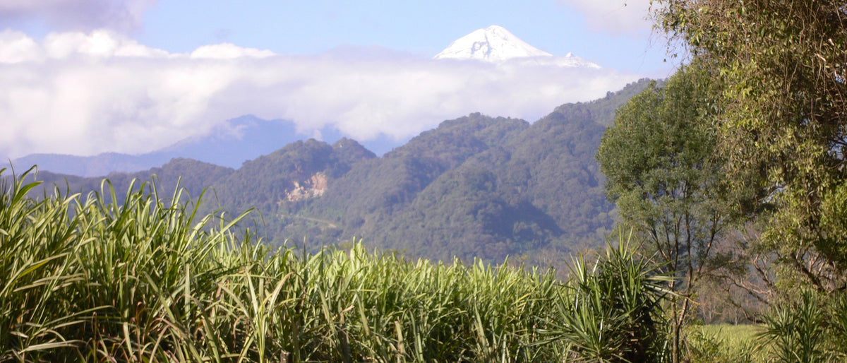 Unión Regional de Pequeños Productores de Café Huatusco SSS (Huatusco)